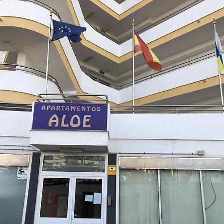 Aloe *