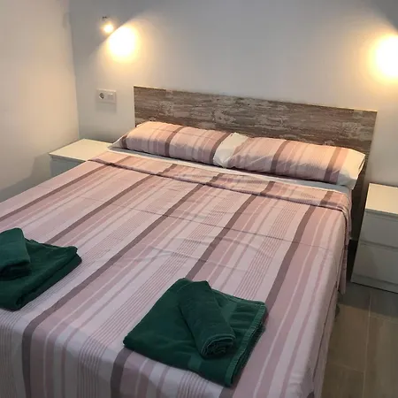 Aloe 플라야 델 잉글스