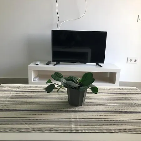 Aloe