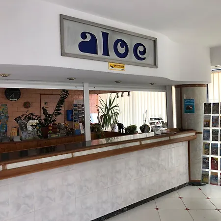 Aloe 플라야 델 잉글스