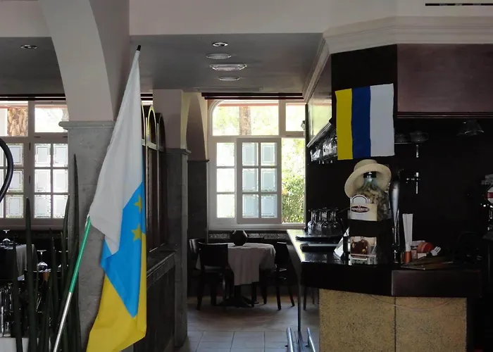 Aloe プラヤ・デル・イングレス